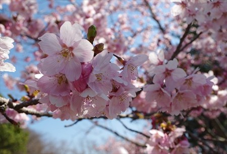 IMGP2340_0328