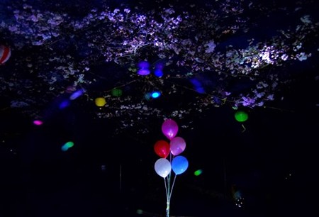IMGP0599_0328