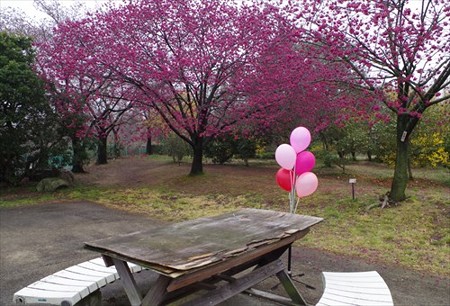 IMGP2774_0329