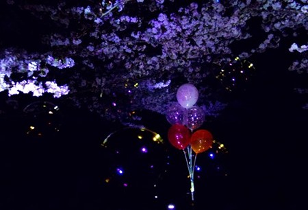 IMGP1791_0402