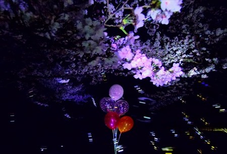 IMGP1908_0402