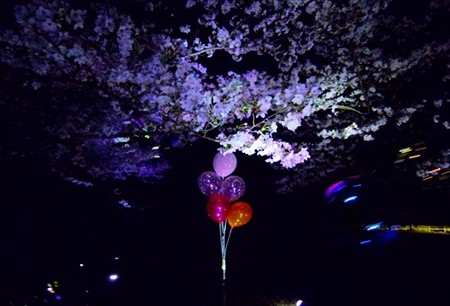 IMGP1926_0402