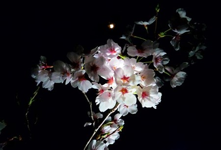 IMGP2151_0402