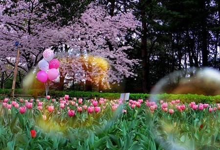 IMGP2512_0404