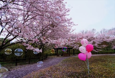 IMGP2665_0404