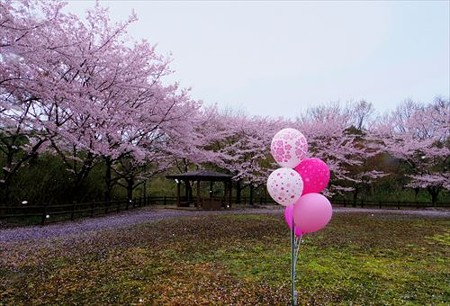 IMGP2708_0404