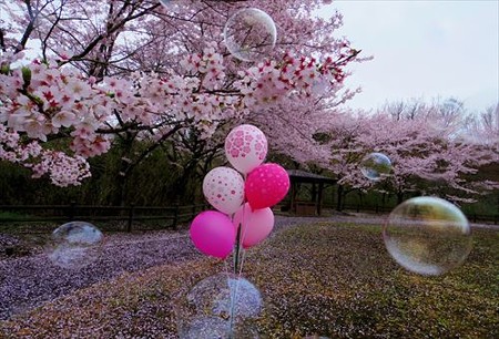 IMGP2828_0404