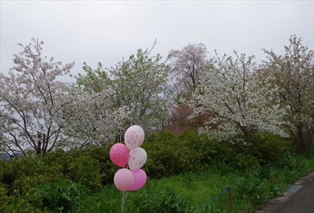 IMGP3724_0404