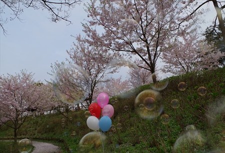 IMGP3866_0404
