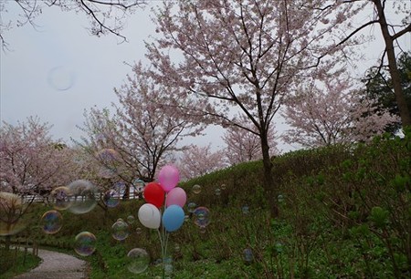 IMGP3889_0404