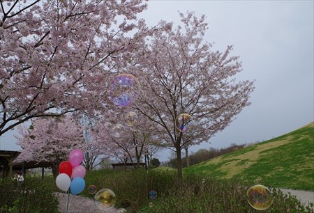 IMGP3900_0404
