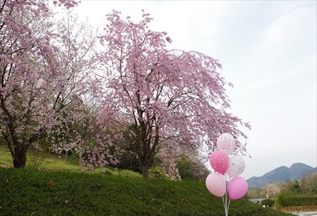 IMGP4022_0404