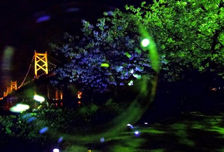 IMGP3152_0404
