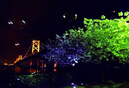IMGP3222_0404