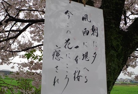 IMGP4236_0405