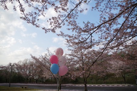 IMGP4330_0405