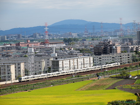 221系普通 東海道本線高槻~島本