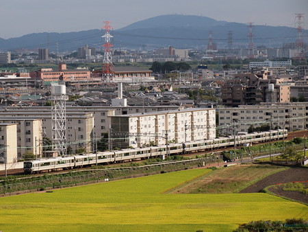 223系新快速 東海道本線高槻~島本