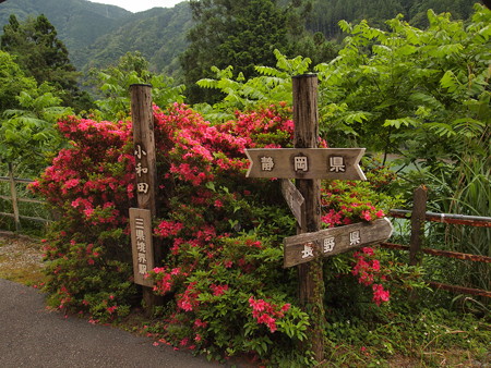 大和田駅県境