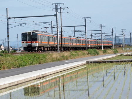 311系特別快速 東海道本線岐阜~木曽川