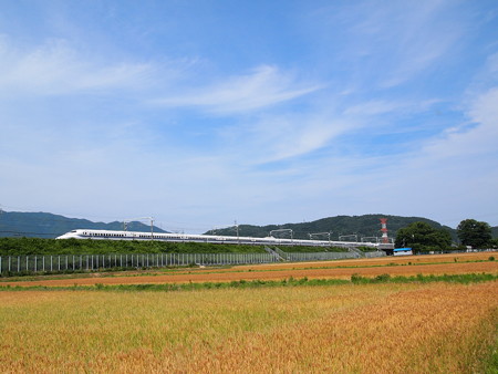 700系こだま 東海道新幹線米原~岐阜羽島01