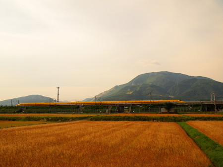 ドクターイエロー 東海道新幹線米原~岐阜羽島02