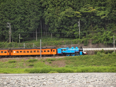 C11きかんしゃトーマス号 大井川鐵道塩郷駅周辺05