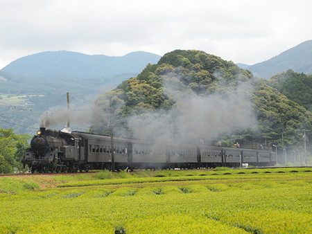 C10急行かわね路 大井川鐵道家山~抜里02