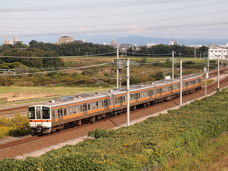 311系普通東海道本線逢妻~大府02