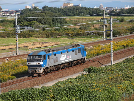EF210貨物 東海道本線逢妻~大府03