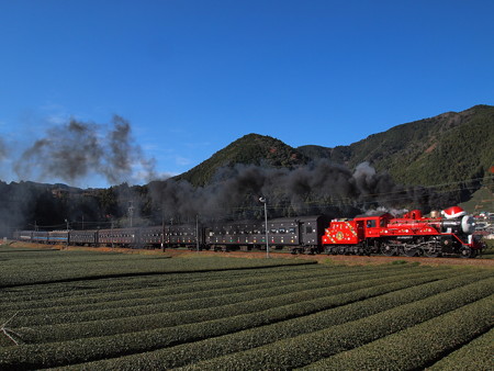 ジェームス 大井川鉄道線家山~抜里03
