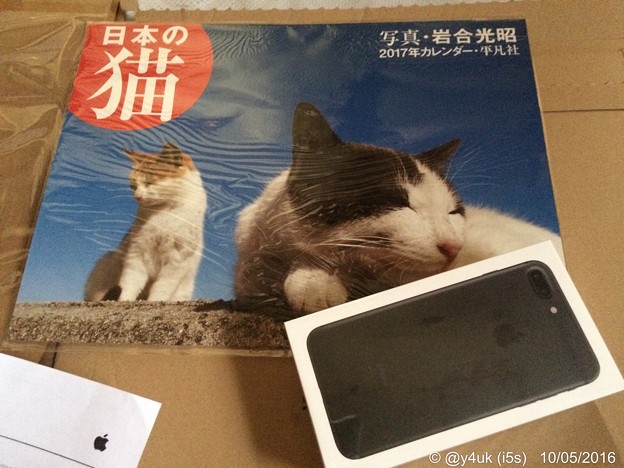 iPhone 7 Plus咥えて持って来た日本の猫 ～同時到着10.5