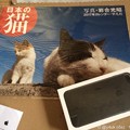 Photos: iPhone 7 Plus咥えて持って来た日本の猫 ～同時到着10.5