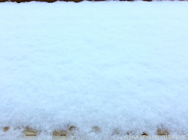 11.24WhiteXmasEve～1か月前、初雪