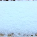 11.24WhiteXmasEve～1か月前、初雪