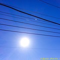 Photos: 暖かい元日の空に太陽 ～2017 Start