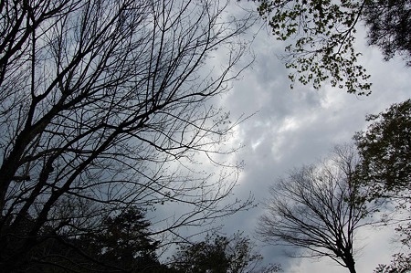 DSC_2515d4L