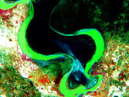 海溝a