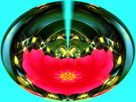 赤い花-02c