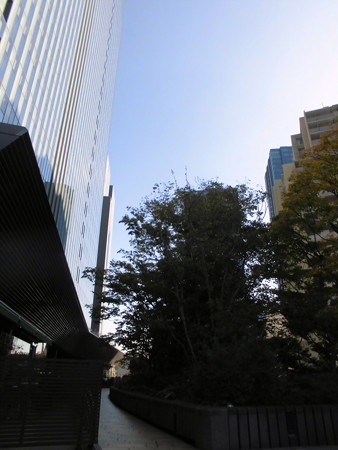 大崎駅_ThinkPark-08