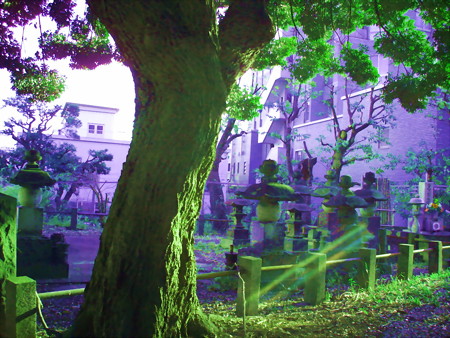 東海寺大山墓地-10b
