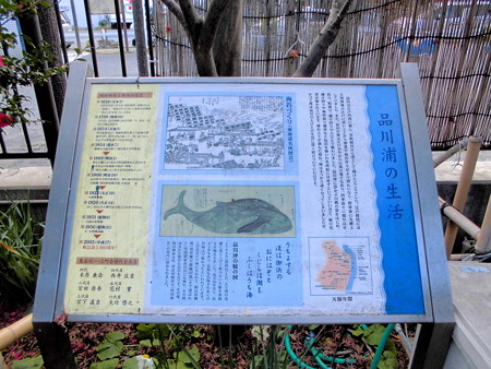 東品川_鯨塚-01b