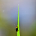 Photos: 高いよ～(^O^)