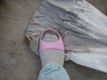 2010 6/17 004