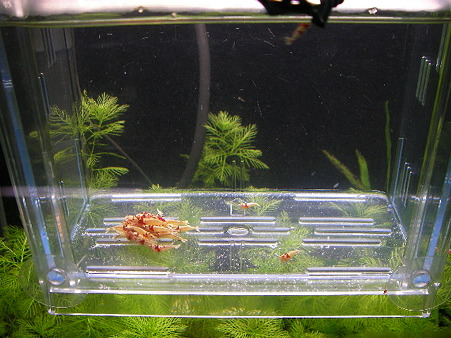 2011 02/27 003