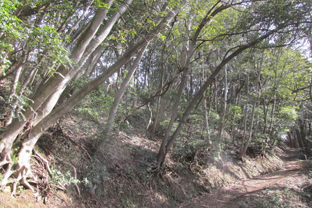 1027jyo122