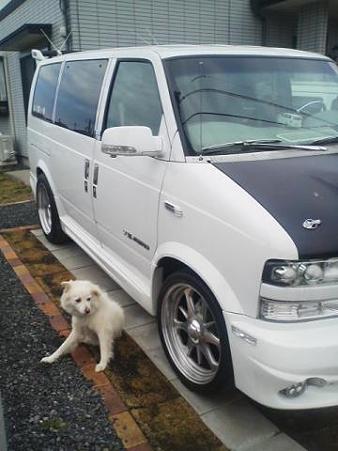 ノーマルタイヤ復活