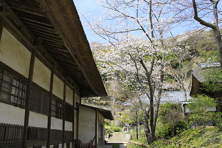 円覚寺 選仏場わき