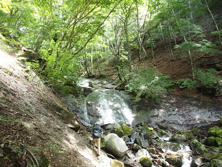 P9138765
