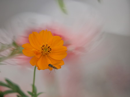 P9233914